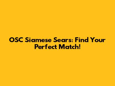 OSC Siamese Sears: Find Your Perfect Match!